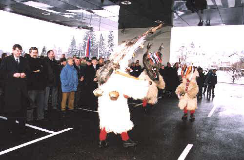 pp ptuj6