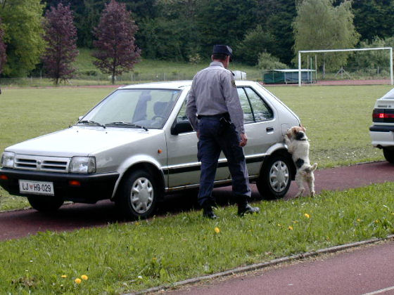 SEPA pes