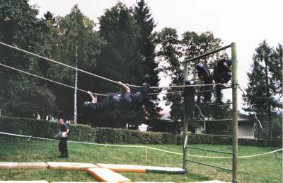 ppe ovire2