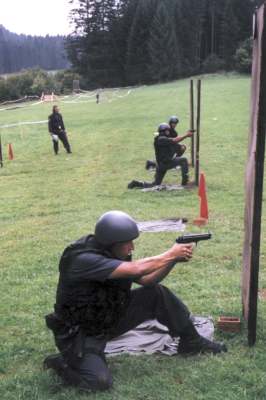 ppe pistola