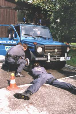 ppe terenci2