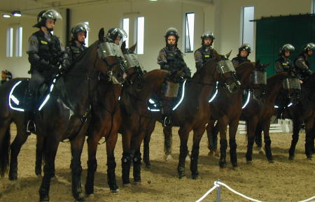 slika prikaza dela policistov konjenikov, Stožice, 2004