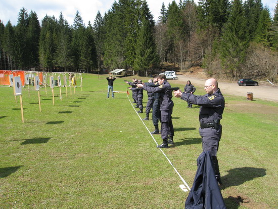 Gotenica