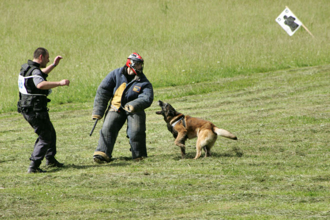 preiskusPsov06 0187