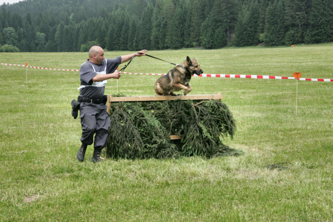 preiskusPsov06 0335