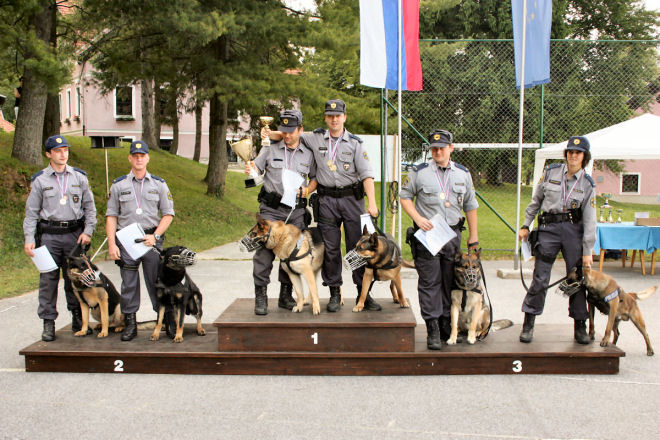 preiskusPsov06 1083