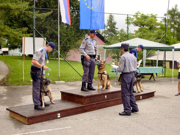 5preizkusPsov07