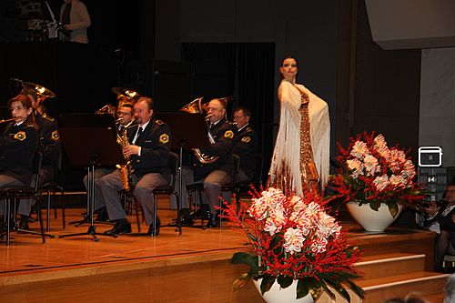 slika z nastopa orkestra na Božično-novoletnem koncertu v Cankarjevem domu, 2008, plesalka