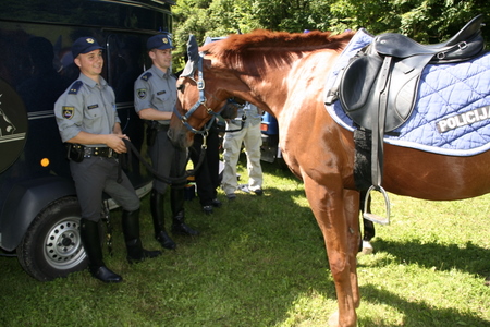 slika s slovesnosti ob dnevu policije v Gotenici, 2008, službeni konj