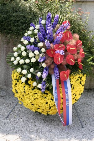 IMG 7879