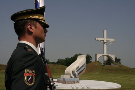 IMG 7908