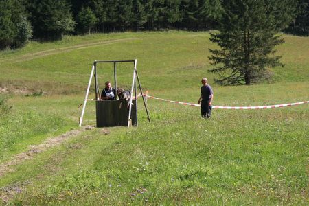 IMG 3801