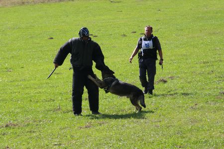 IMG 3849
