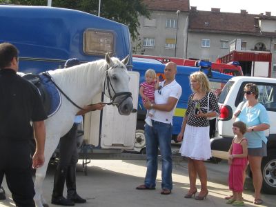 slika z ogleda službenega konja s policistom konjenikom, 2008