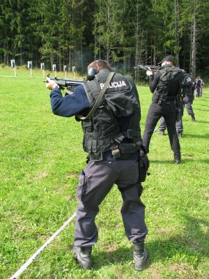 hekler moski