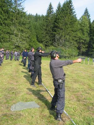 pistola vrsta