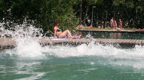 IMG 2659