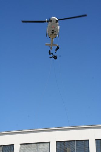 IMG 3977