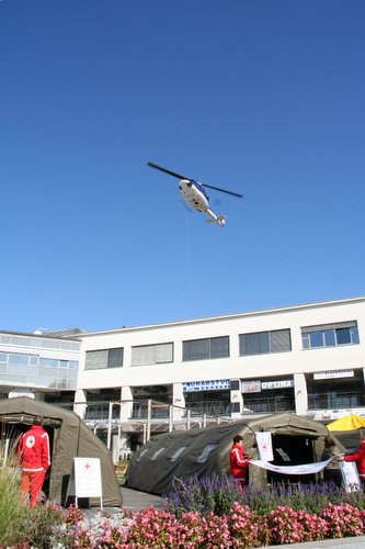 IMG 3989