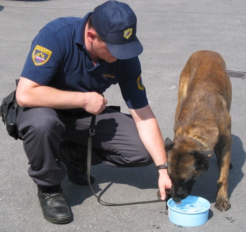 vodniki02