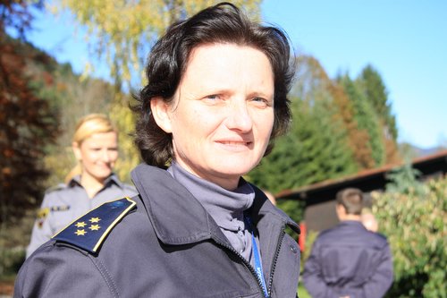 StellaStraus