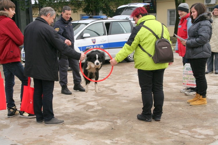 slika predstavitve spretnosti službenega psa in njegovega vodnika, 2014