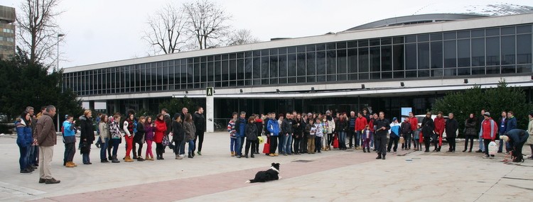 slika predstavitve spretnosti službenega psa in njegovega vodnika, 2014