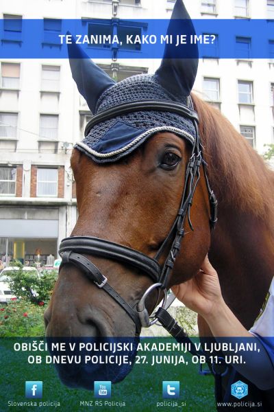 konj1