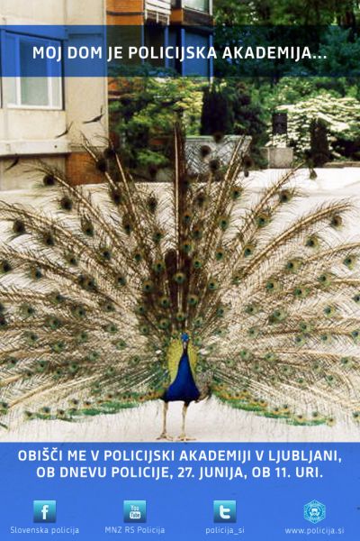 plakat2