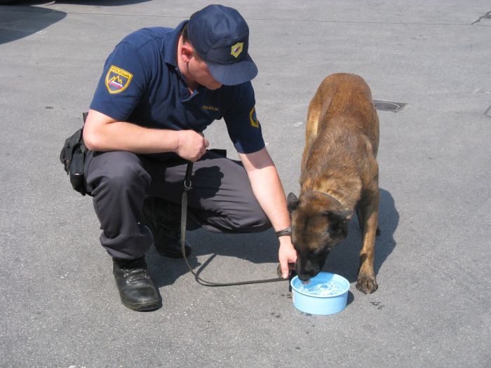 policist vodnik sluzbenega psa