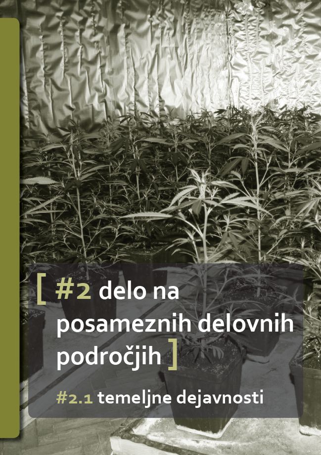 podrocja