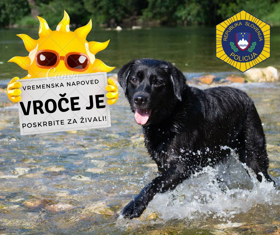 Poskrbite za zivali v vrocini