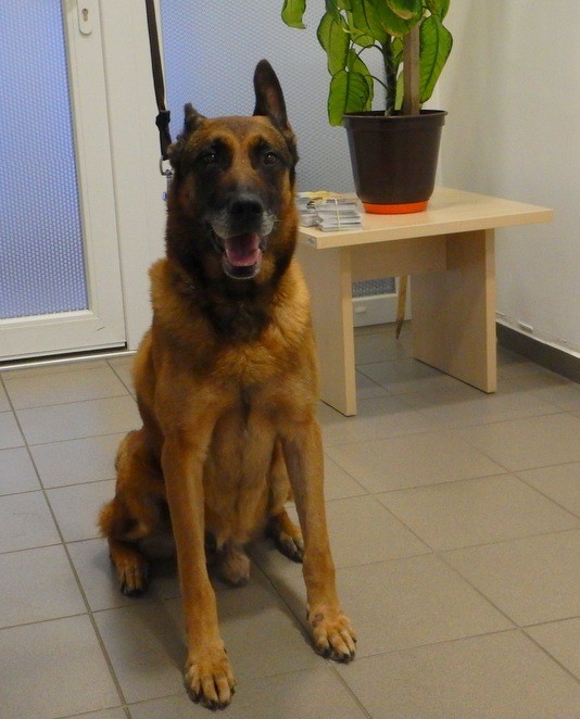 DSCN0346 lux