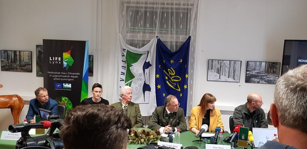 novinarska konferenca LIFE Lynx UrsaKmetec