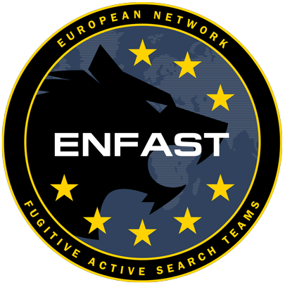 Enfast logo