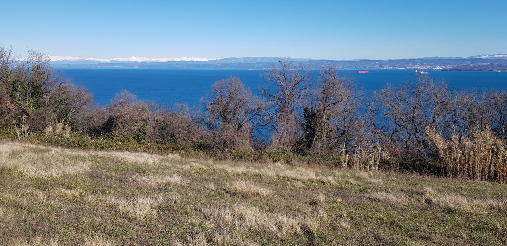 Pogled na Triglav z Belvederja
