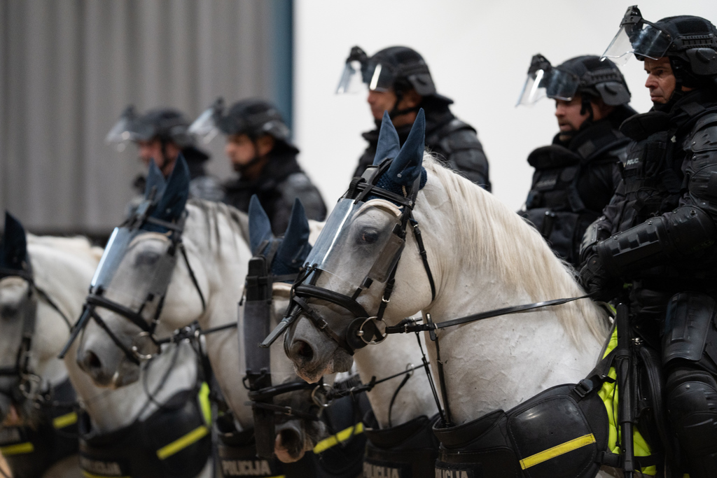 Bližnji posnetek treh policistov konjenikov in konjev v polni bojni opremi, postrojeni so v vrsto. Foto: Klemen Udovč
