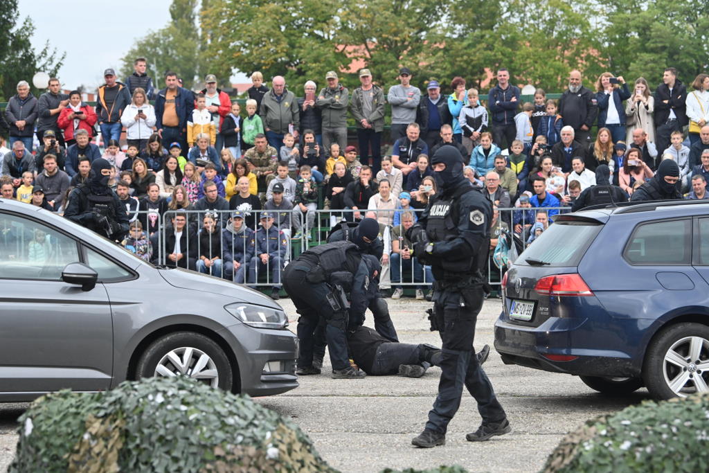 Prikaz prijetja nevarnega storilca