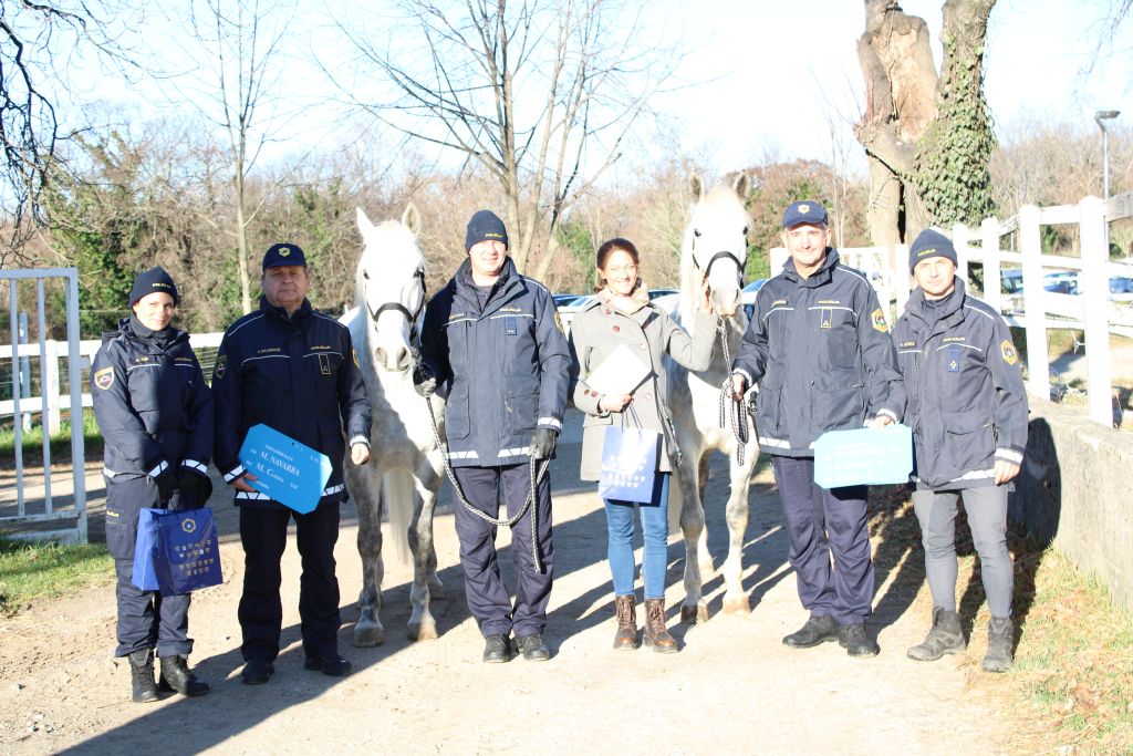 Skupinska slika s konjema v Lipici