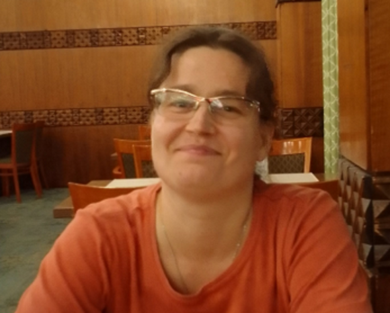 Slika pogrešane osebe