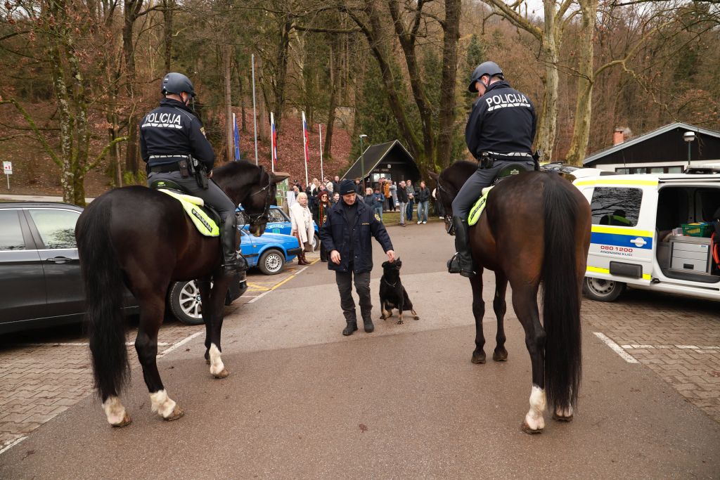 Two police horses and a service dog