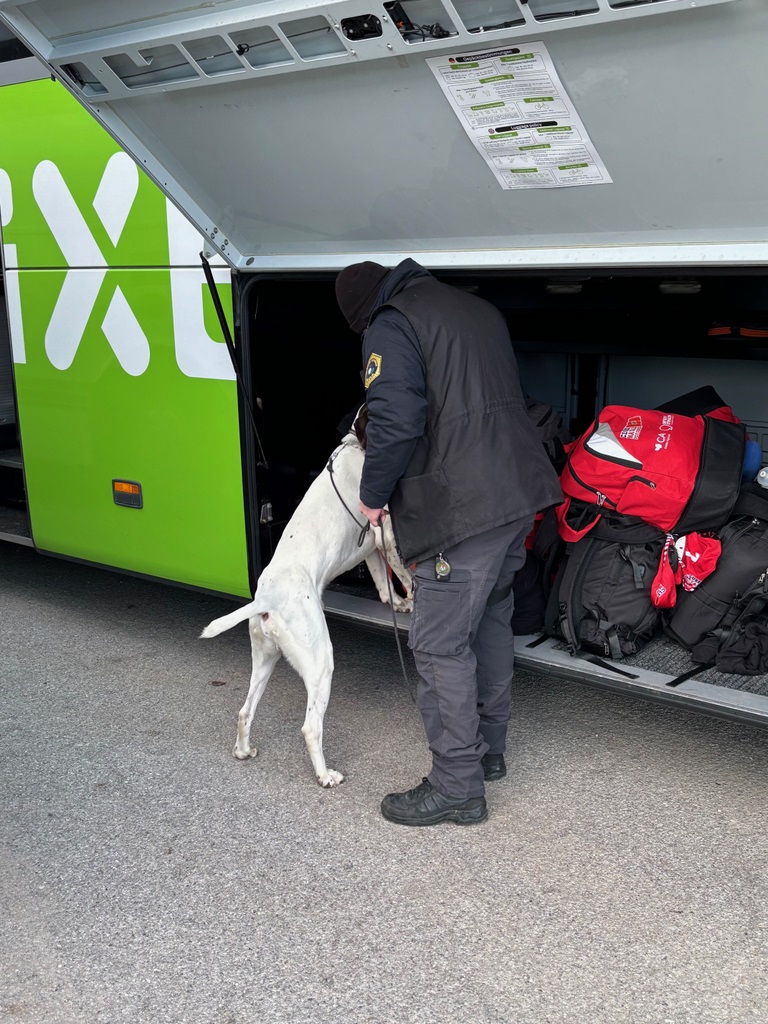 Policist s psom opravlja pregled vozila