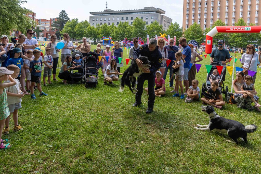 Skok policijskega psa skozi obroč v rokah policista