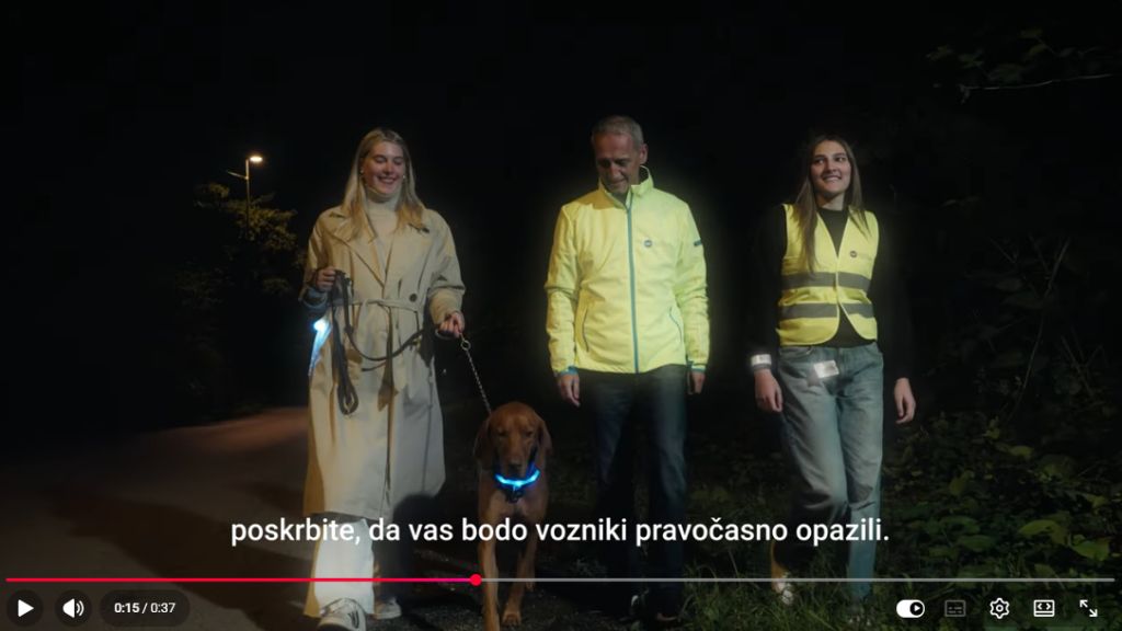 Video, zajem zaslona (na sliki trije pešci in pes v svetlih odsevnih oblačilih hodijo v temi ob cestišču)
