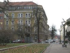 zgradba