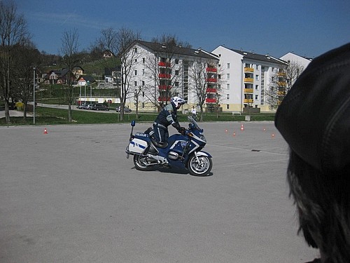 IMG 2542