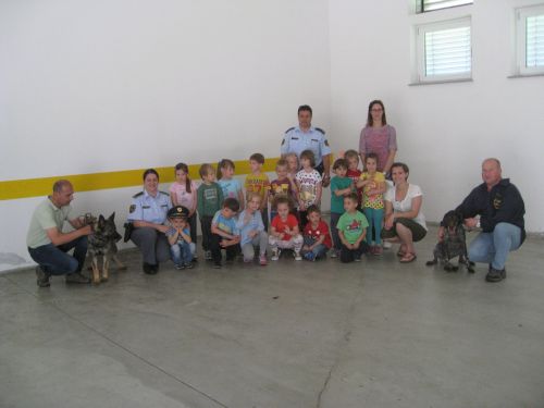 IMG 4157