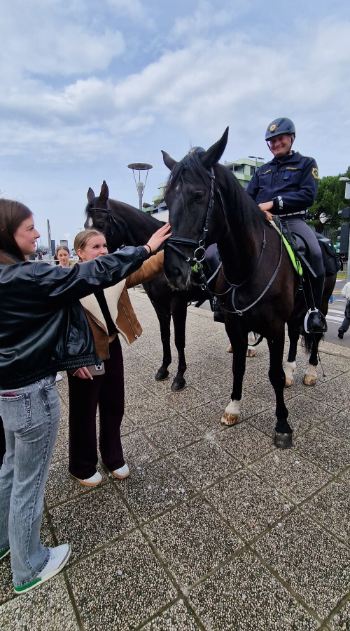 Policist sedi na konju, ki ga božata obiskovalki