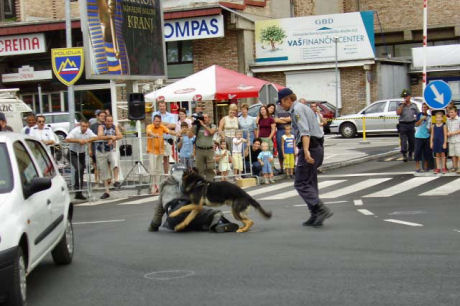 060731-Kranfest09