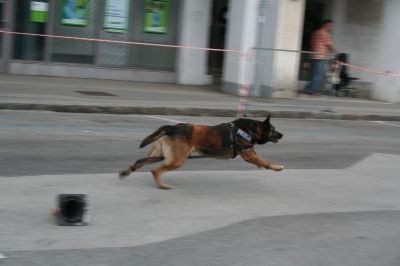 080728-Kranfest07